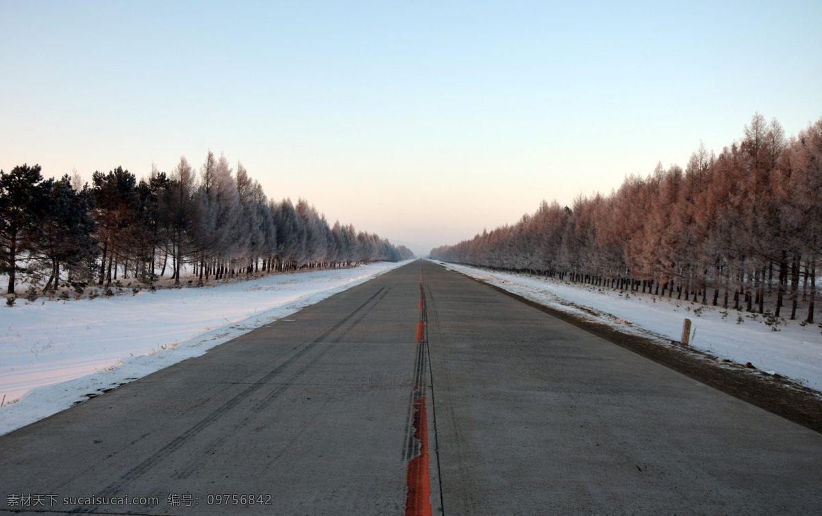 傍晚的路 公路 村路 雪松路 雾松 小路 冬天 勤得利 农垦风光摄影 自然景观 自然风景