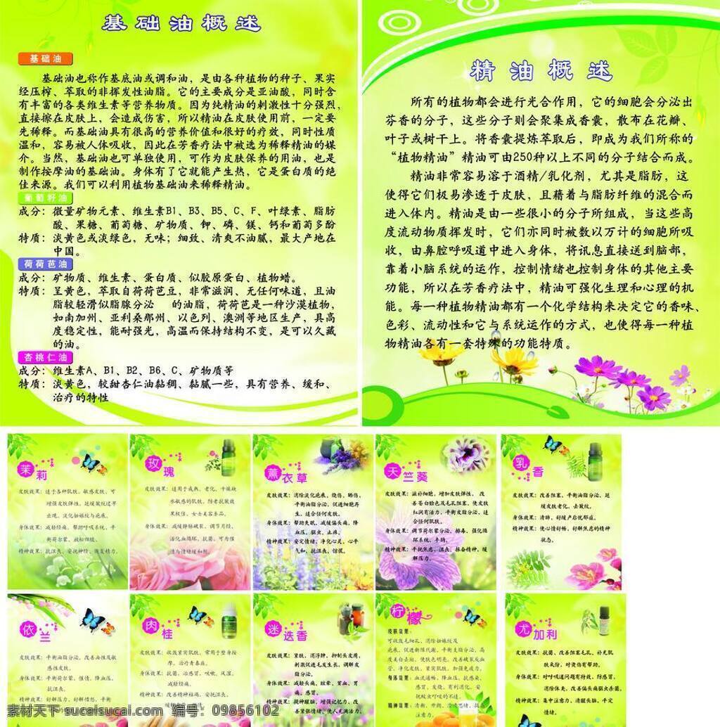 橙汁 春天 花 精油海报 玫瑰背景 玫瑰花 美容店海报 美容店展板 美容店 宣传 单面 精油背景 茉莉背景 鲜橙多 薰衣草 精油介绍 矢量