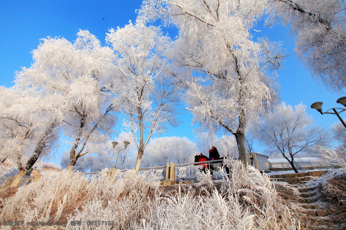 吉林 雾凇 雾凇岛 松花湖 蓝天 冰雪 寒冷 东北 旅游摄影 国内旅游