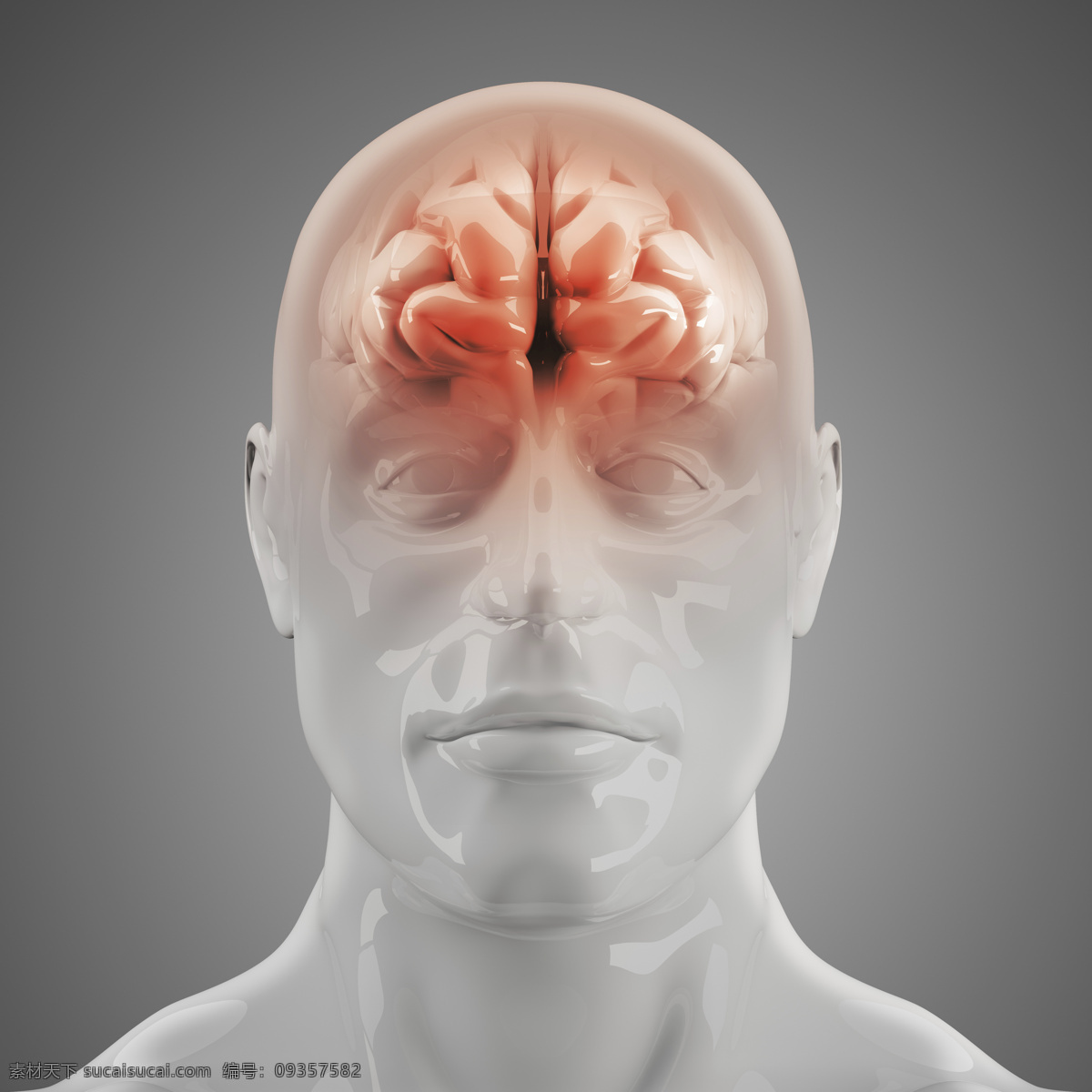 人体 脑部 x 光 图像 医疗主题 透视图 x光 医疗护理 现代科技