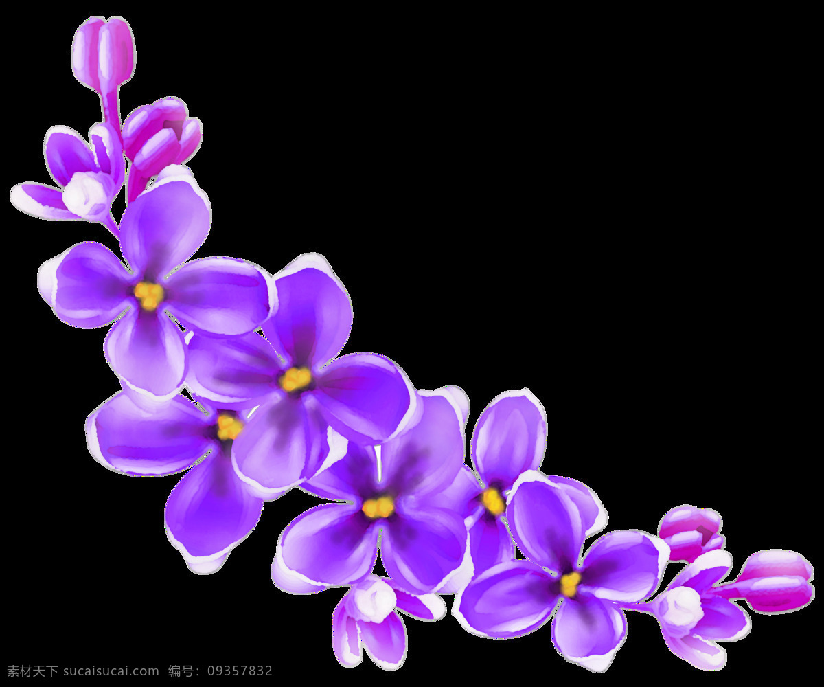 手绘 精美 紫花 花朵 透明 黄色 立体 美丽 免扣素材 生动 书签图案 水彩 透明素材 装饰图案