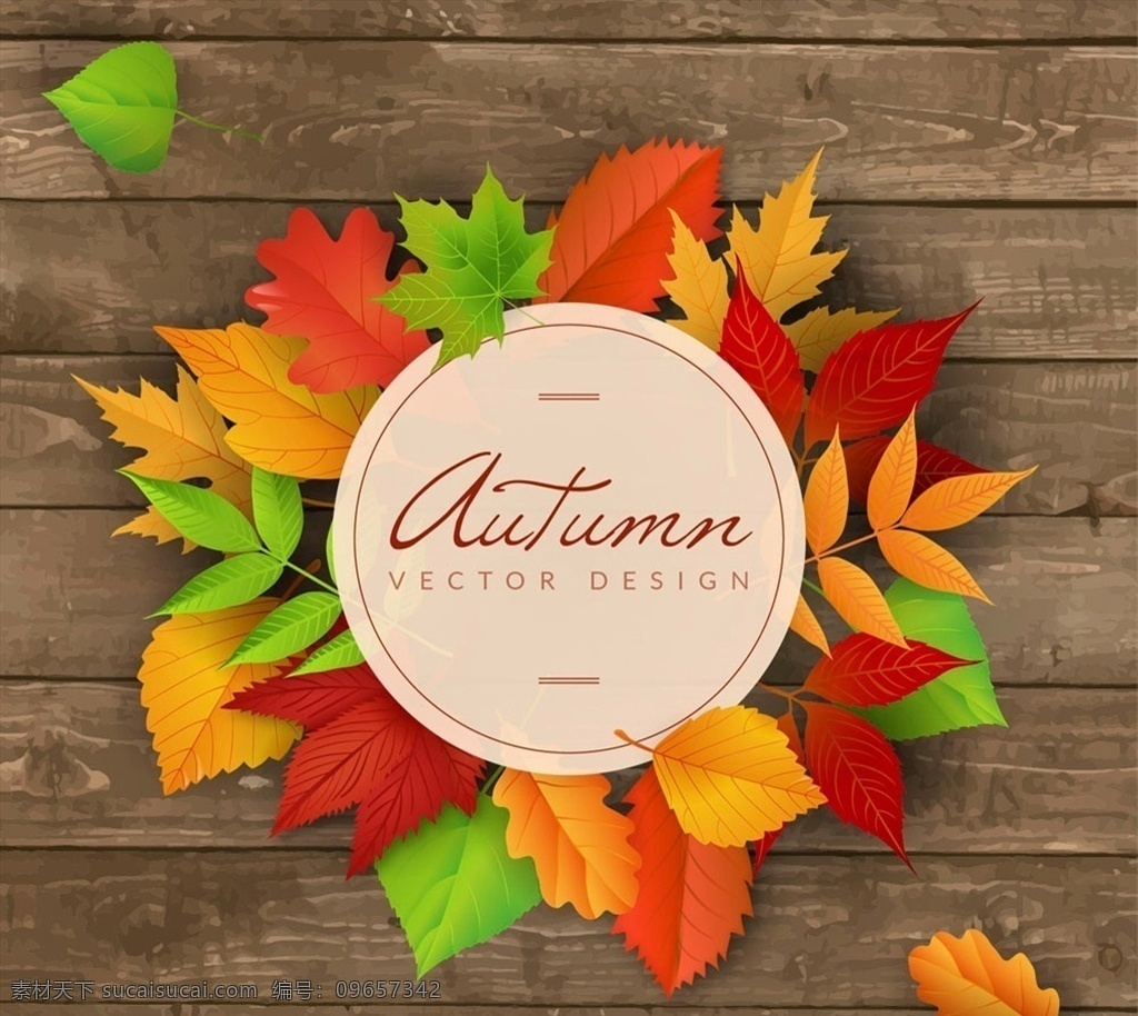秋季 叶子 装饰 标签 木板 落叶 树叶 矢量 高清图片