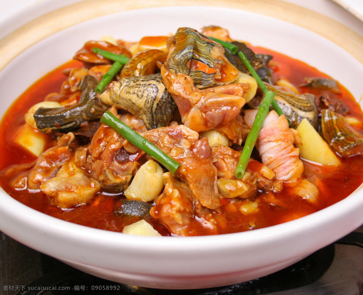 乌龟肉 饭店菜品 精品菜 美味佳肴 舌尖上的中国 传统美味 流水席 饭席 鲜香 椒盐 传统没事 现代美食 川菜 豫菜 卤菜 鲁菜 京菜 特色菜 炒菜 腌菜 热菜 美食 传统美食 餐饮素材 饭店 酒店 吃饭 饭 菜 餐饮 餐饮美食
