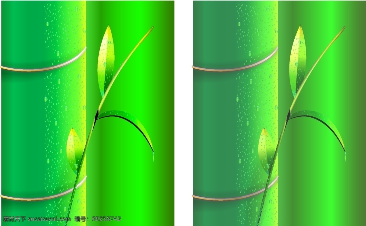 雨露 润 竹林 绿叶 青竹 水滴 竹 自然风景 自然景观 雨露润竹林 矢量