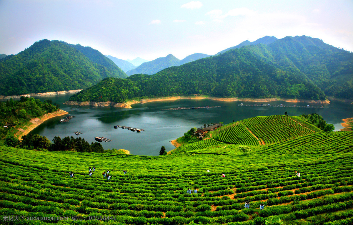 安化黑茶茶园 湖南 安化 黑茶 茶叶 山水 绿山 山峦 绿树 碧水 倒影 山水风景 自然景观