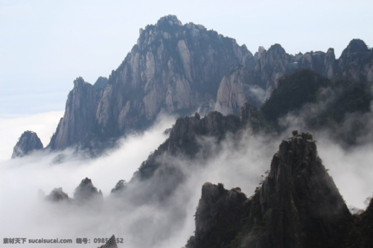 黄山风光 黄山旅游 黄山美景 旅游 云海 松树 高山 风景名胜 自然景观 安徽黄山 黄山秋色 黄山 安徽旅游景点 黄山景色 黄山山峰 山峰