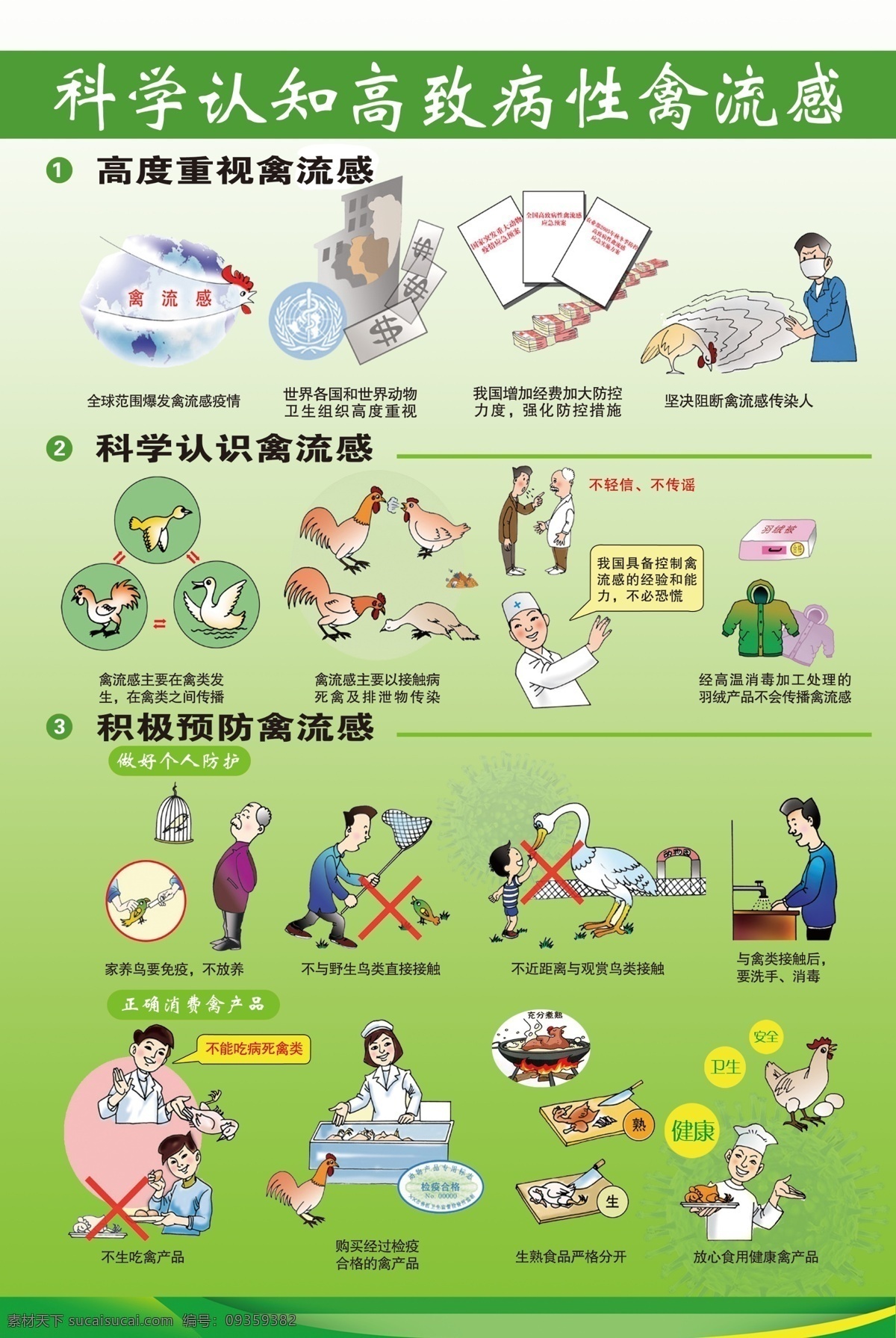 科学 认知 禽流感 预防禽流感 h7n9 禽流感漫画 禽流感配图 制度展板 展板模板 广告设计模板 源文件