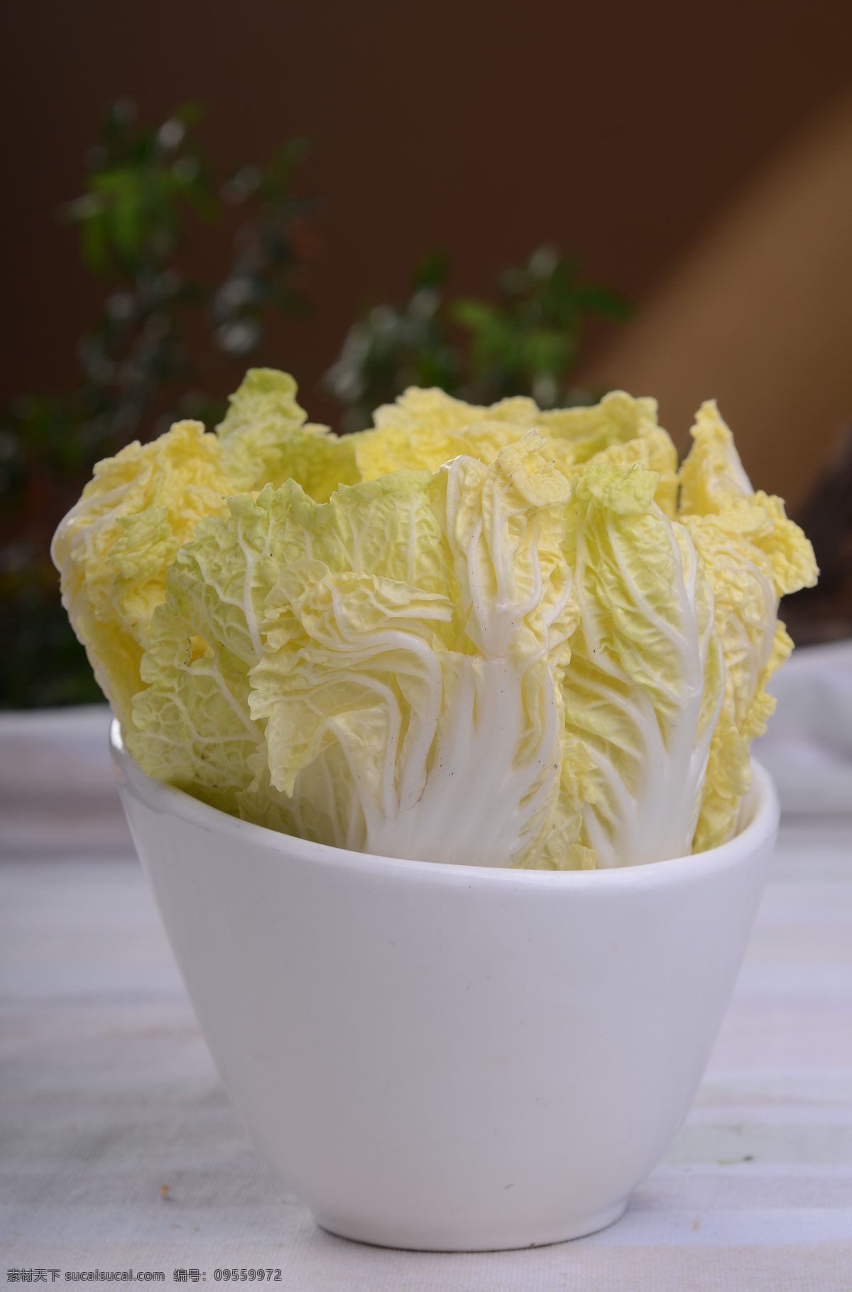 蔬菜 涮菜 火锅 涮品 美食 涮火锅 火锅菜品 火锅配菜 火锅涮菜 中国菜系 火锅配料 浓汤娃娃菜 麻辣烫菜品 干净的蔬菜 白菜芯 火锅菜 餐饮美食 传统美食