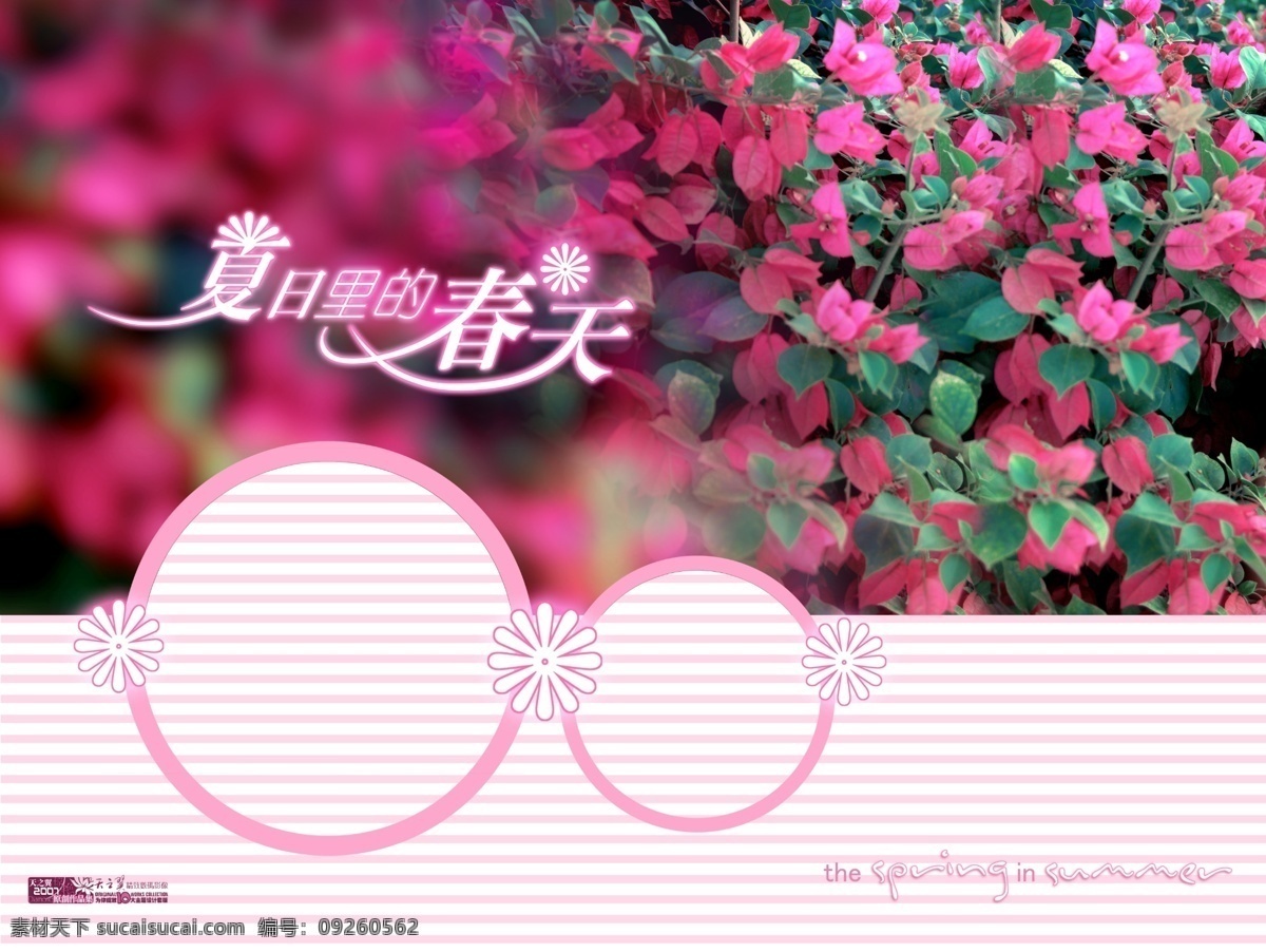 婚庆 模板 分层 源文件 海豚湾恋人 婚礼模板 婚庆模板 婚庆片头模板 婚纱模板 浪漫 写真模板 psd源文件