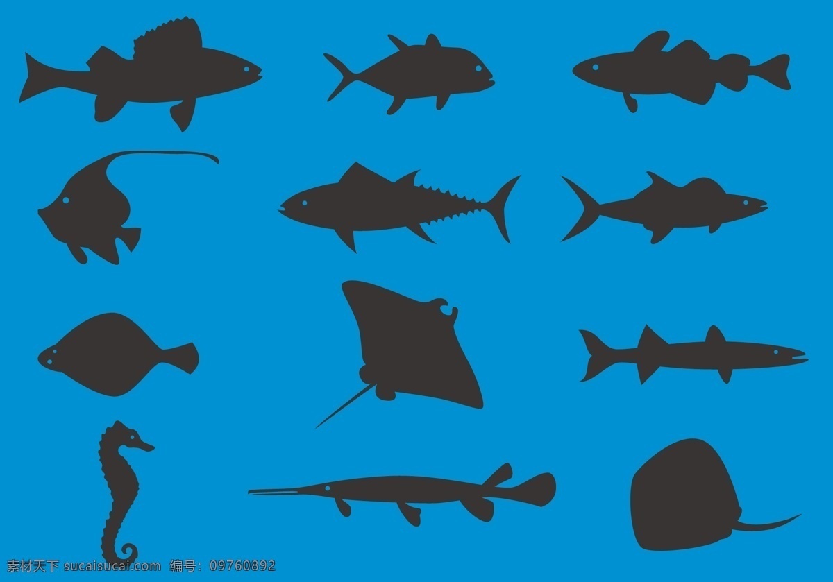 海洋动物剪影 卡通动物 动物素材 动物 手绘动物 矢量素材 动物头像 扁平动物 海洋动物 动物剪影