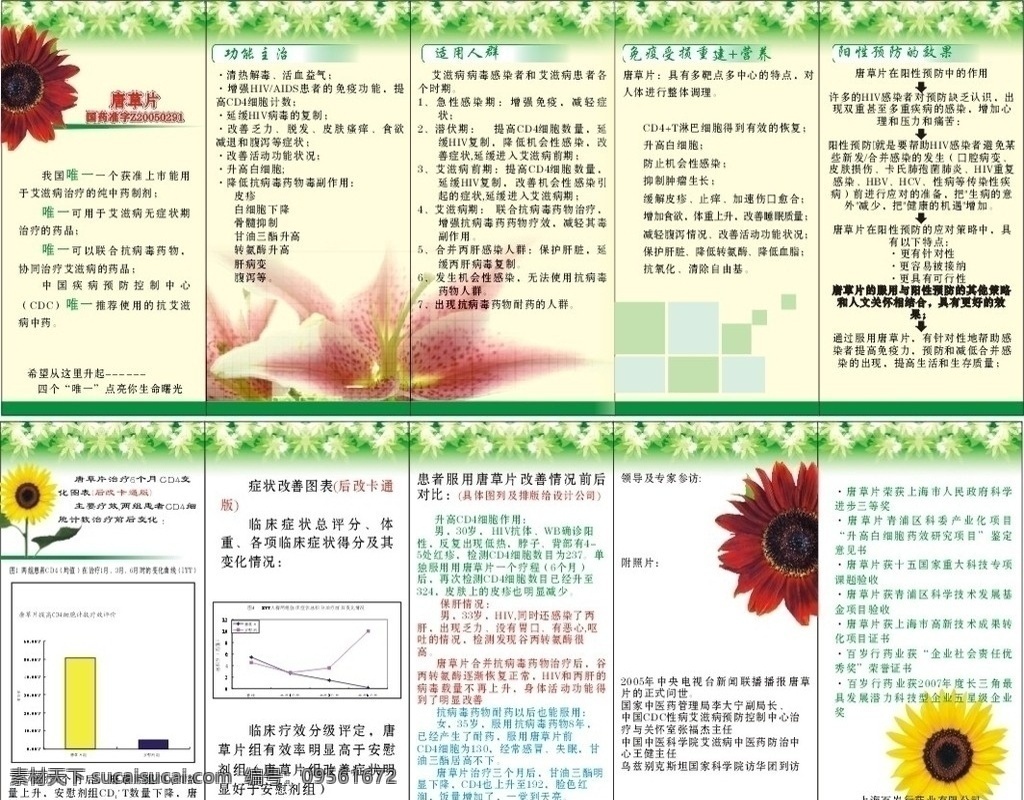 药品小册子 药品折页 药品说明书 药品五折页 折页 药品介绍 药物 医院折页 折页背景 背景底纹 dm宣传单 矢量