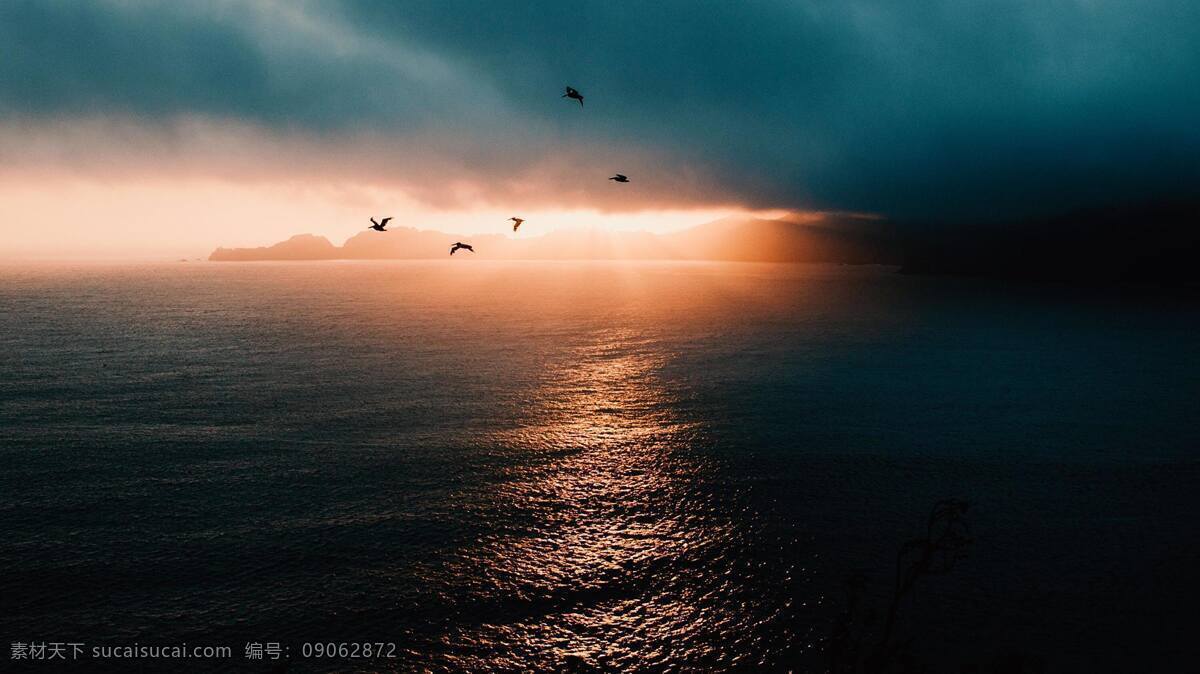 大海 海洋 海岸 沙滩 森林 树木 浪花 自然景观 自然风景 风景素材 夕阳 傍晚