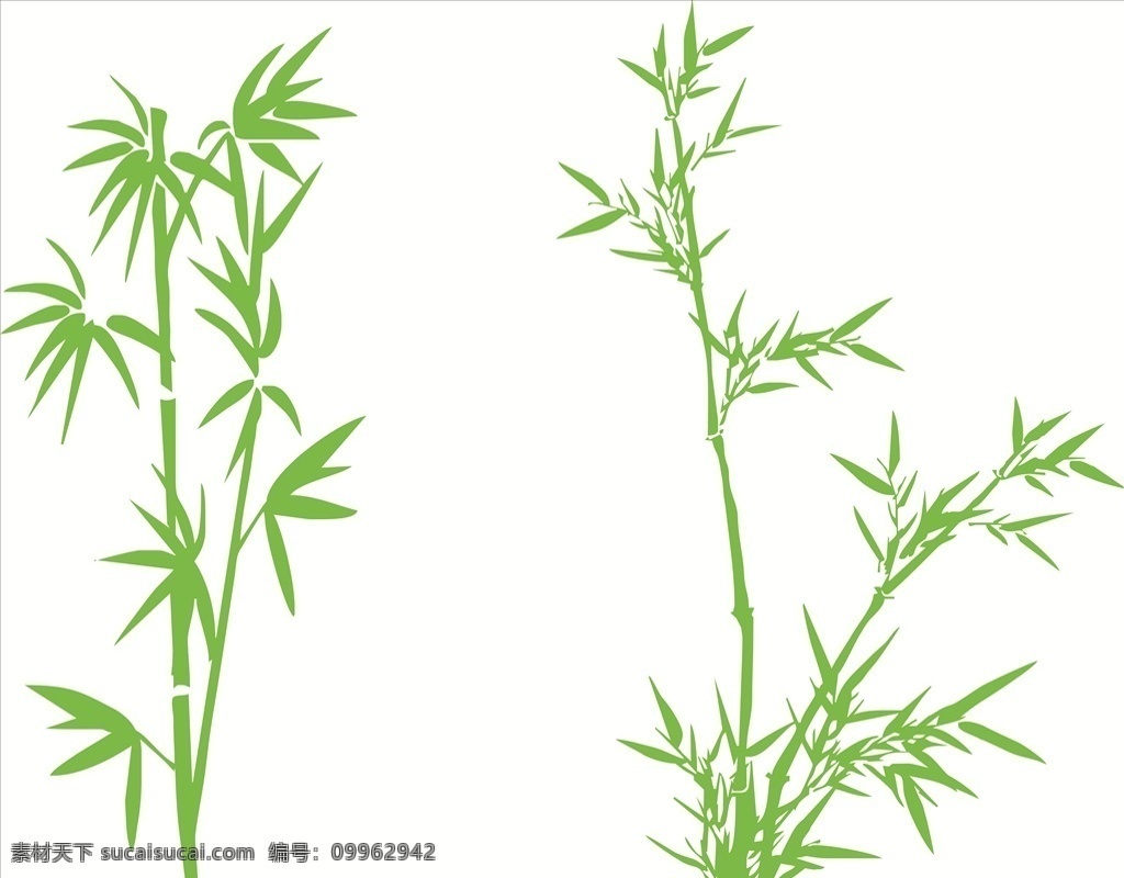 长青竹 矢量竹子 绿色 清新 卡通设计