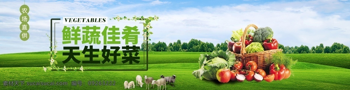 蔬菜 食品 淘宝 海报 banner 头图 绿色 树林 淘宝海报 鲜蔬 佳肴 好菜