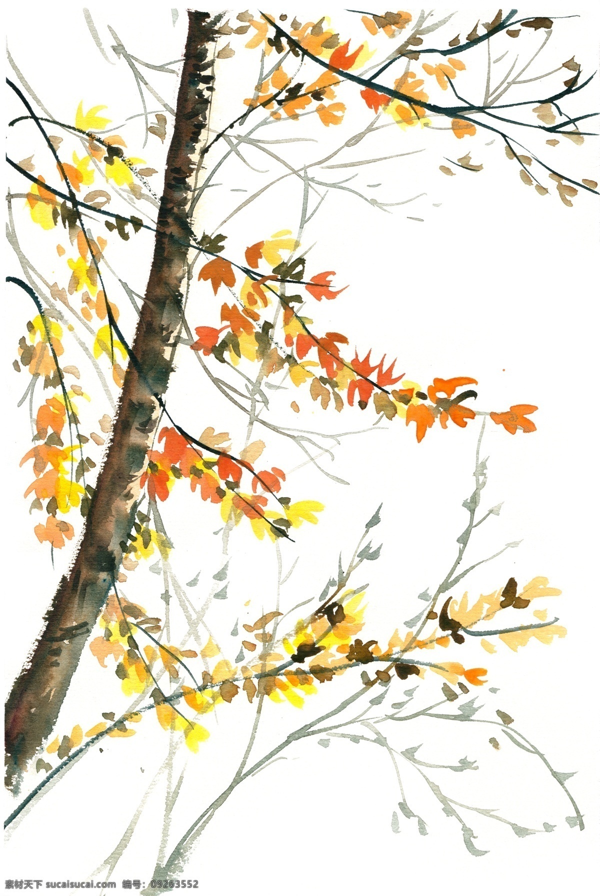 秋天 树 水彩画 免 抠 水彩 透明 手绘 彩色 生态 秋季 树木 树枝 美丽 写意 免抠 亮丽 清幽 意境 绘画 逼真 写实 简约