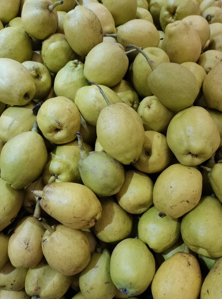 梨图片 绿色 脆梨 梨子 大梨 鸭梨 梨 水果 超市 零售 生物世界
