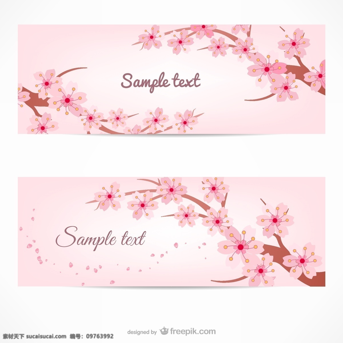 粉色 樱花 banner 矢量 花卉 花枝 春季 花瓣 矢量图