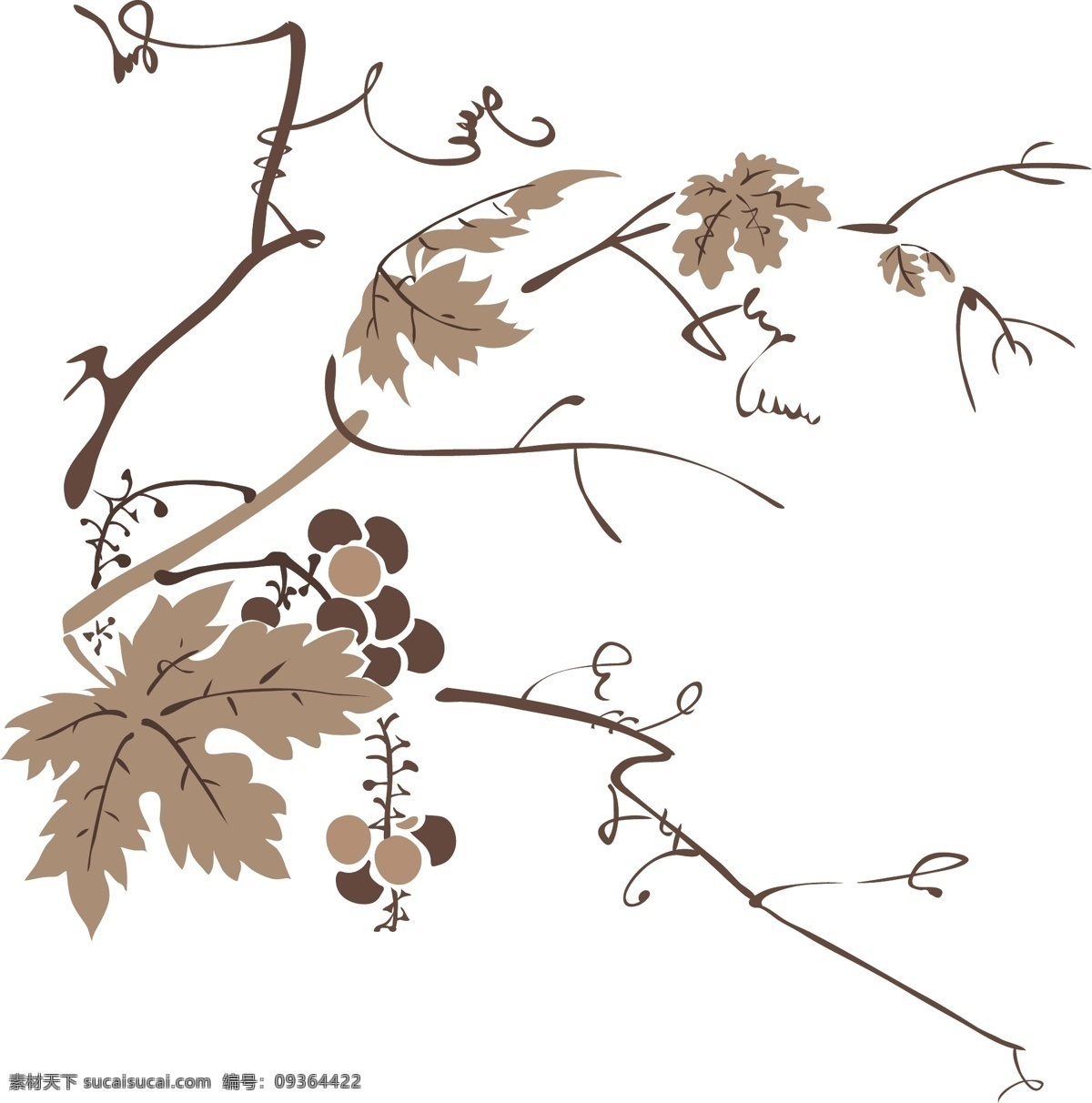 葡萄 水墨画 中国画 矢量 cdr0014 设计素材 国画装饰画 中华图典 矢量图库 白色