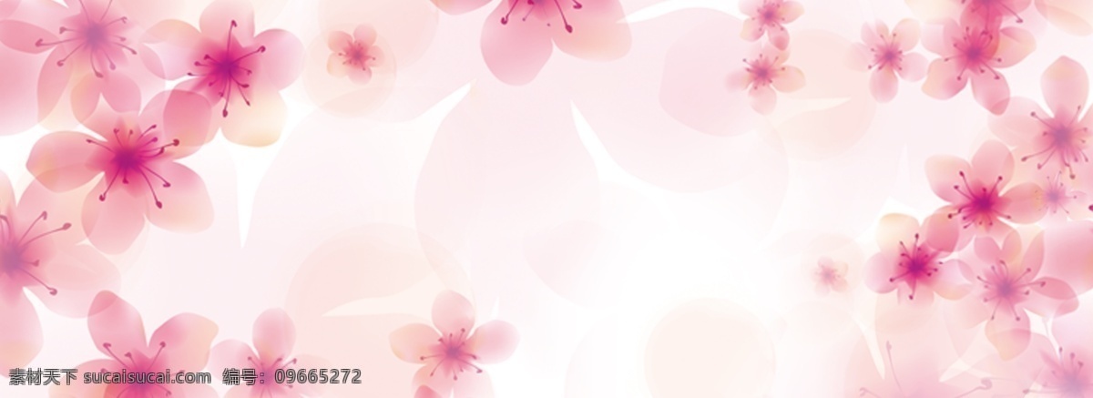 樱花 季 浪漫 唯美 底纹 banner 樱花季 樱花节 花朵 花瓣 粉色 横版 海报 背景
