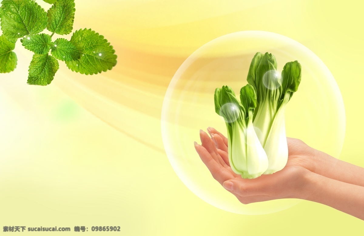 蔬果 背景 海报背景素材 蔬菜背景 水果背景素材 psd源文件