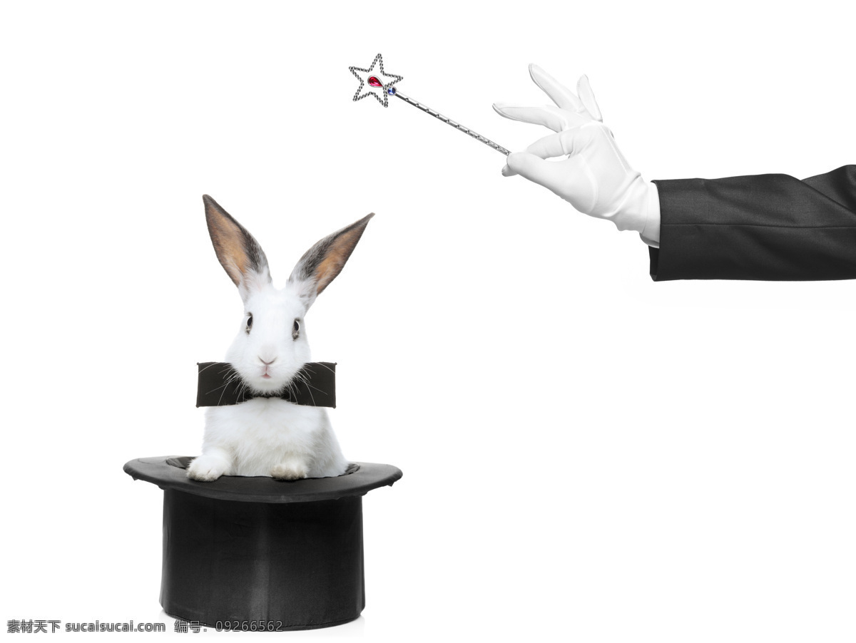 魔术师 兔子 魔术表演 帽子 魔术棒 其他类别 生活百科