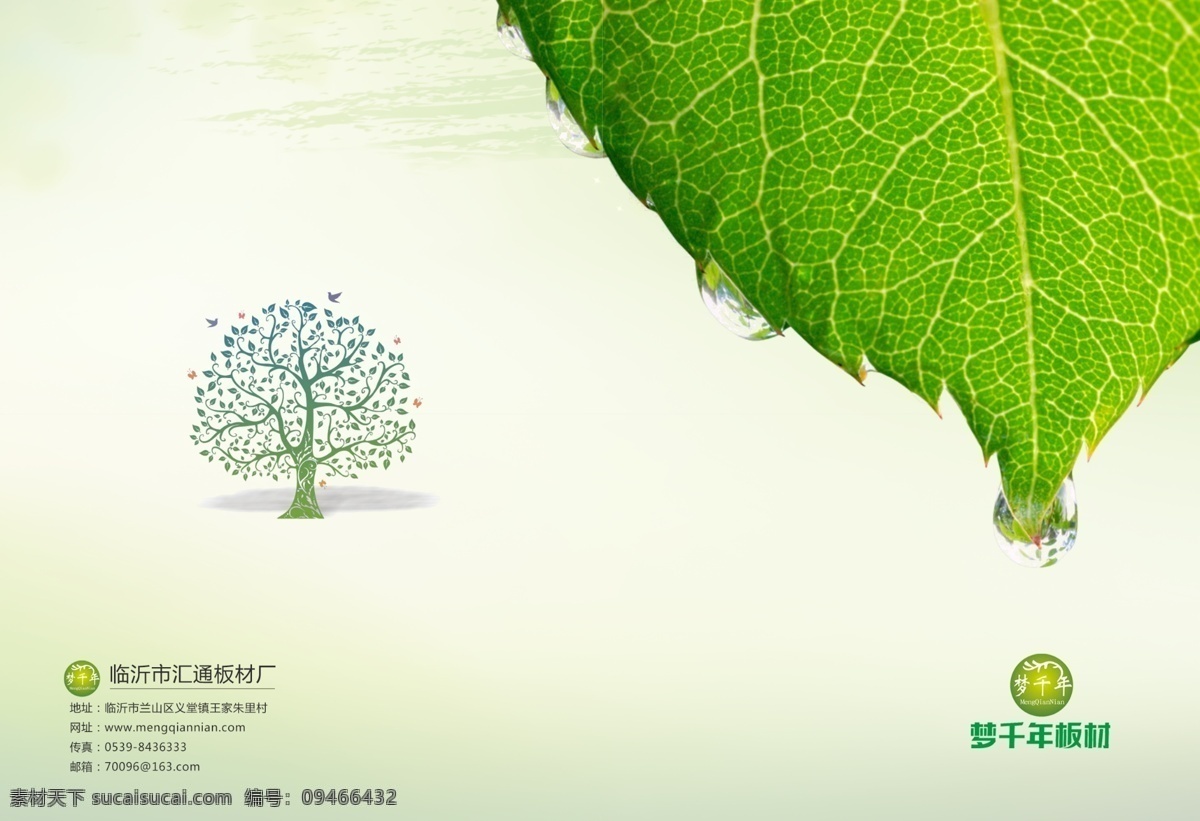 梦 千年 板材 画册 封面 设 梦千年板材 梦千年 树 封面设计 树叶 分层