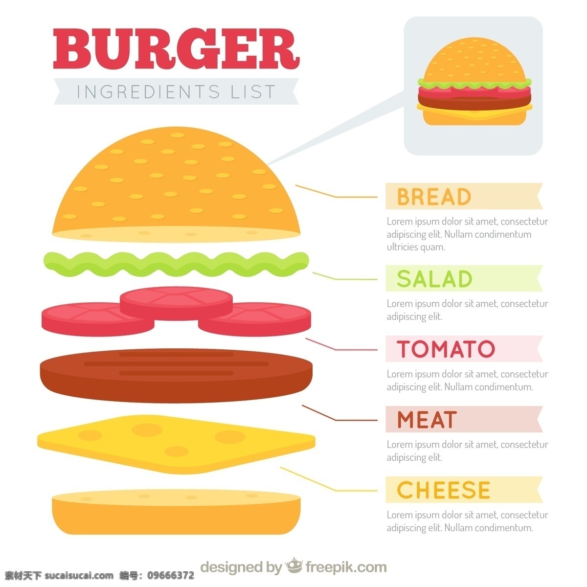 汉堡 配料 清单 矢量 配料清单 矢量素材