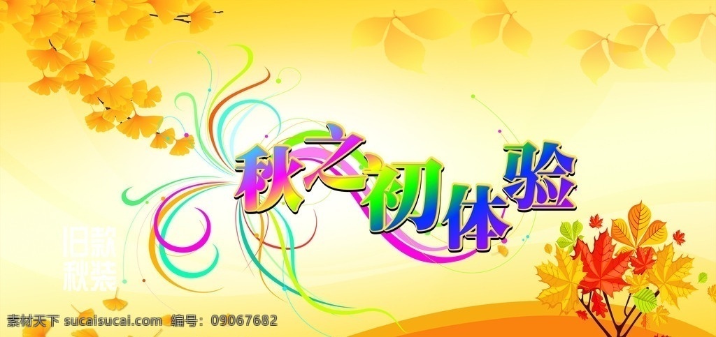 秋天 初秋 树叶 梧桐树 体验 花纹 线条 矢量