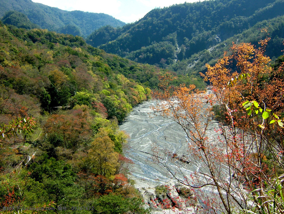 树免费下载 风景 绿色 山水风景 摄影图 树 植物 自然景观 水 家居装饰素材 山水风景画