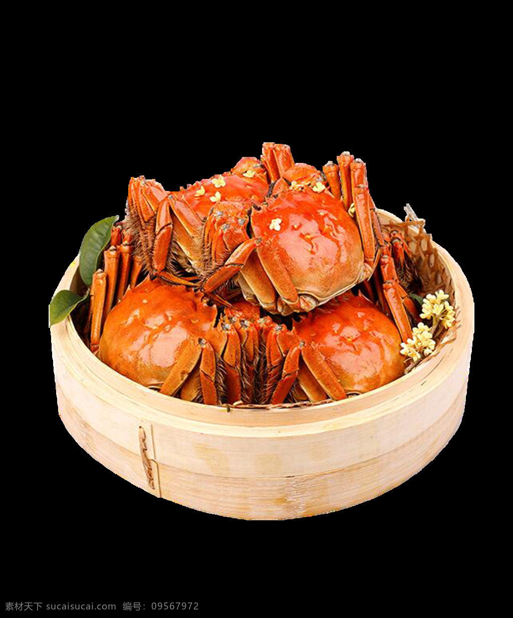 金黄 大闸蟹 装饰 螃蟹 食物 美食 蒸笼 桂花 夏天