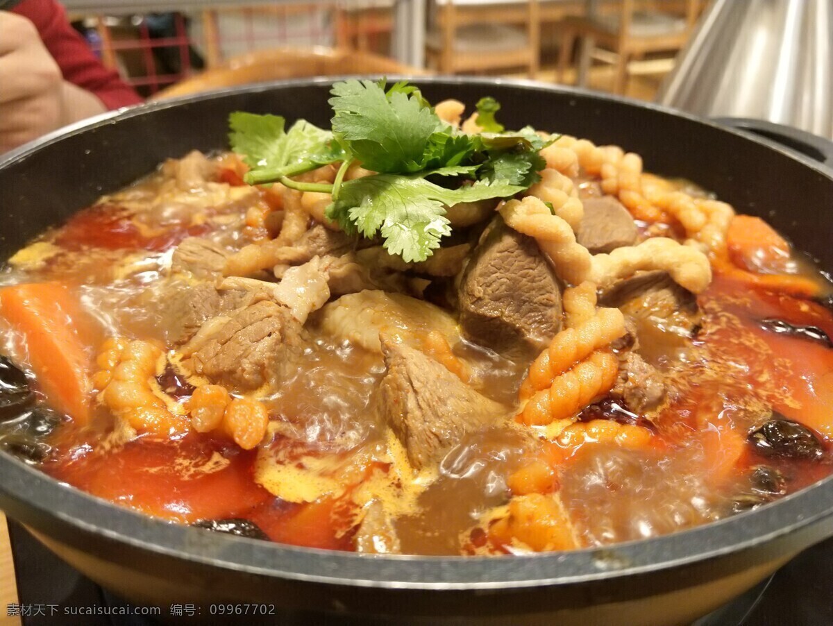 铁锅炖羊肉 美食 诱人 可口 食物 美食天下 餐饮美食 传统美食