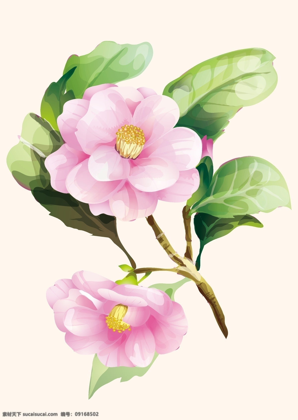 花朵 茶花 花纹 树叶 古典花纹 时尚插画 唯美插画 古典背景 古典底纹 唯美背景 唯美底纹 矢量 背景底纹 花草 生物世界
