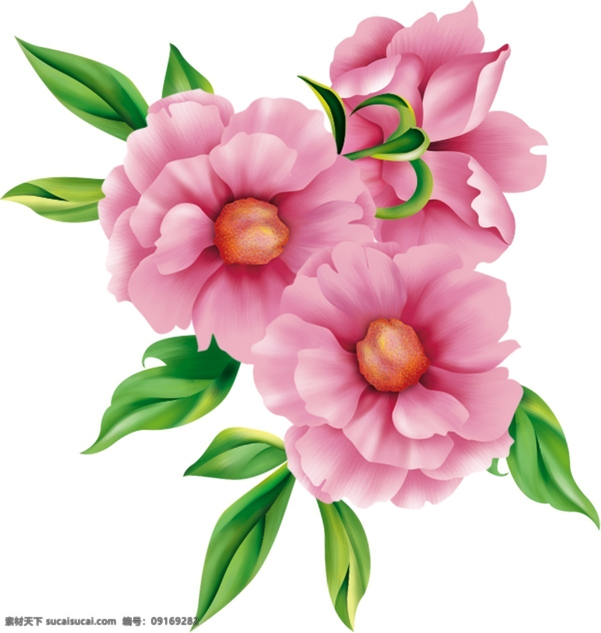 手绘花 蜀葵 芙蓉花 粉色花 水彩花 花卉印花 布料印花 服装印花 墙角贴 折纸 复古花卉 鲜花素材 花卉卡片 插画 手机壳 本子 镜子 时尚花纹 梦幻花纹 贺卡 卡片 花纹底纹 底纹背景 包装纸 背景墙 地板砖 墙纸图案 花朵 花卉 装饰画 卡通 可爱手绘 背景 移门 花枝花束 卡通设计