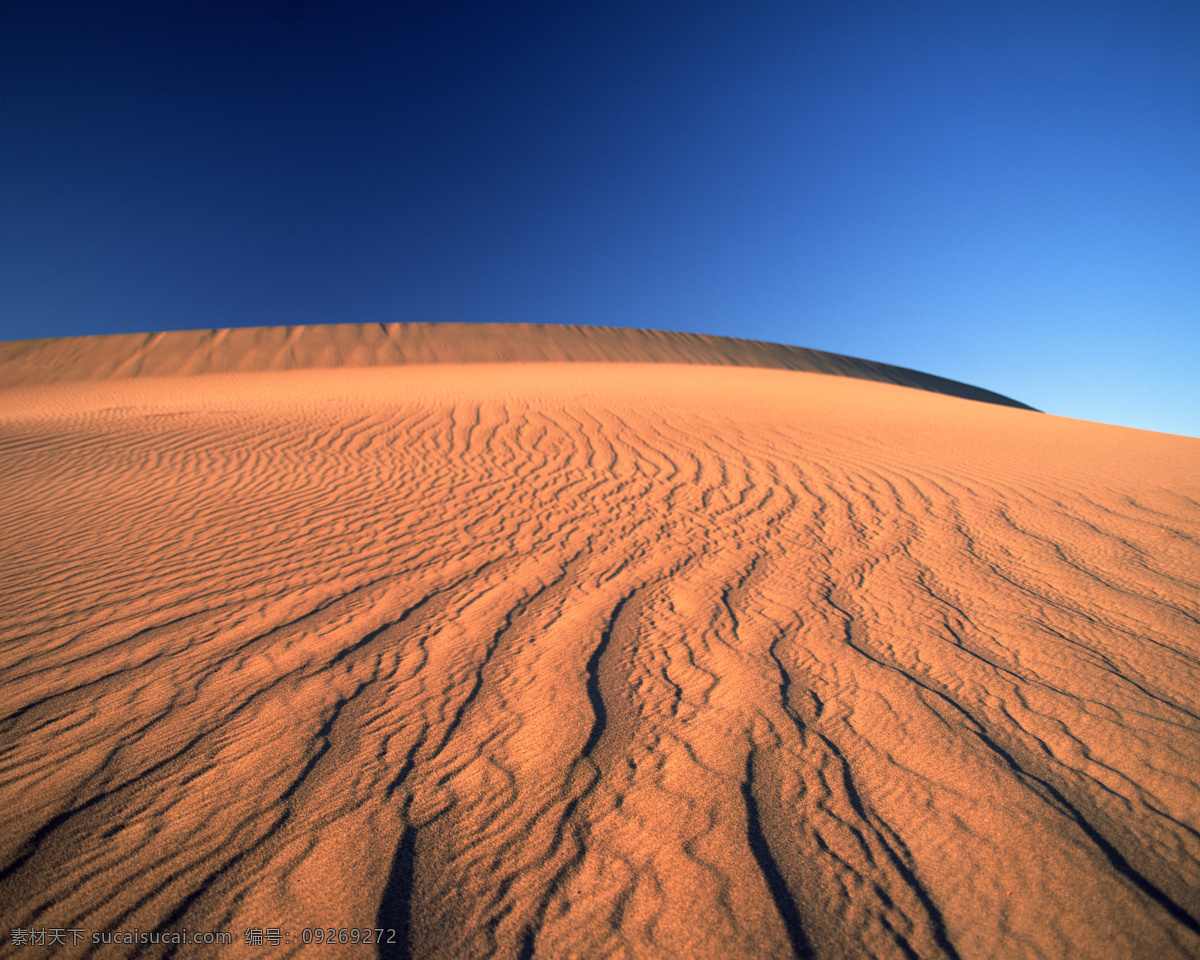 热带 沙漠 风景 高清 气候 沙丘 沙地