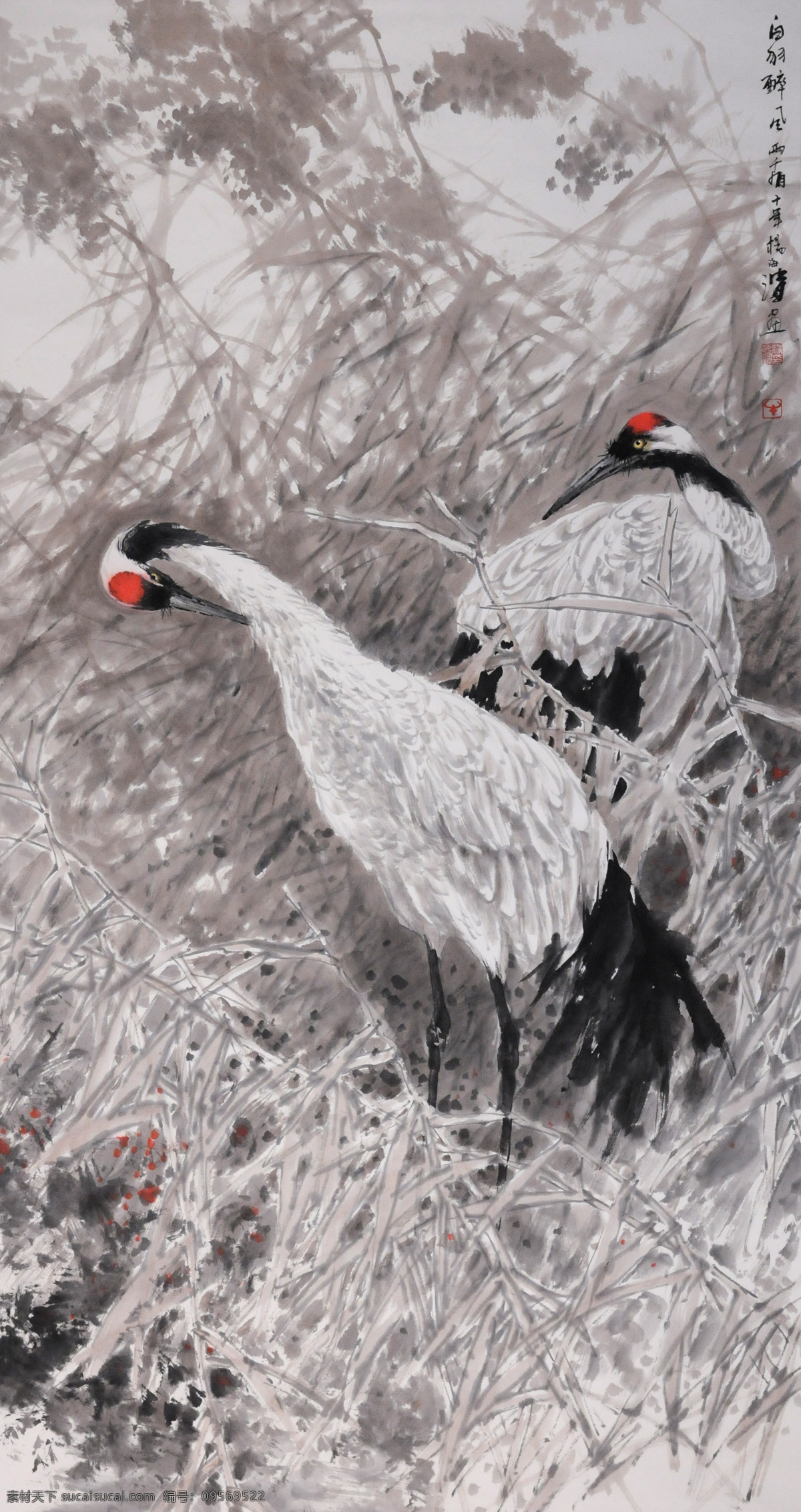 中国画 白羽 醉 风 动物 国粹 花鸟画 仙鹤 双鹤 写意画 装饰素材 无框画