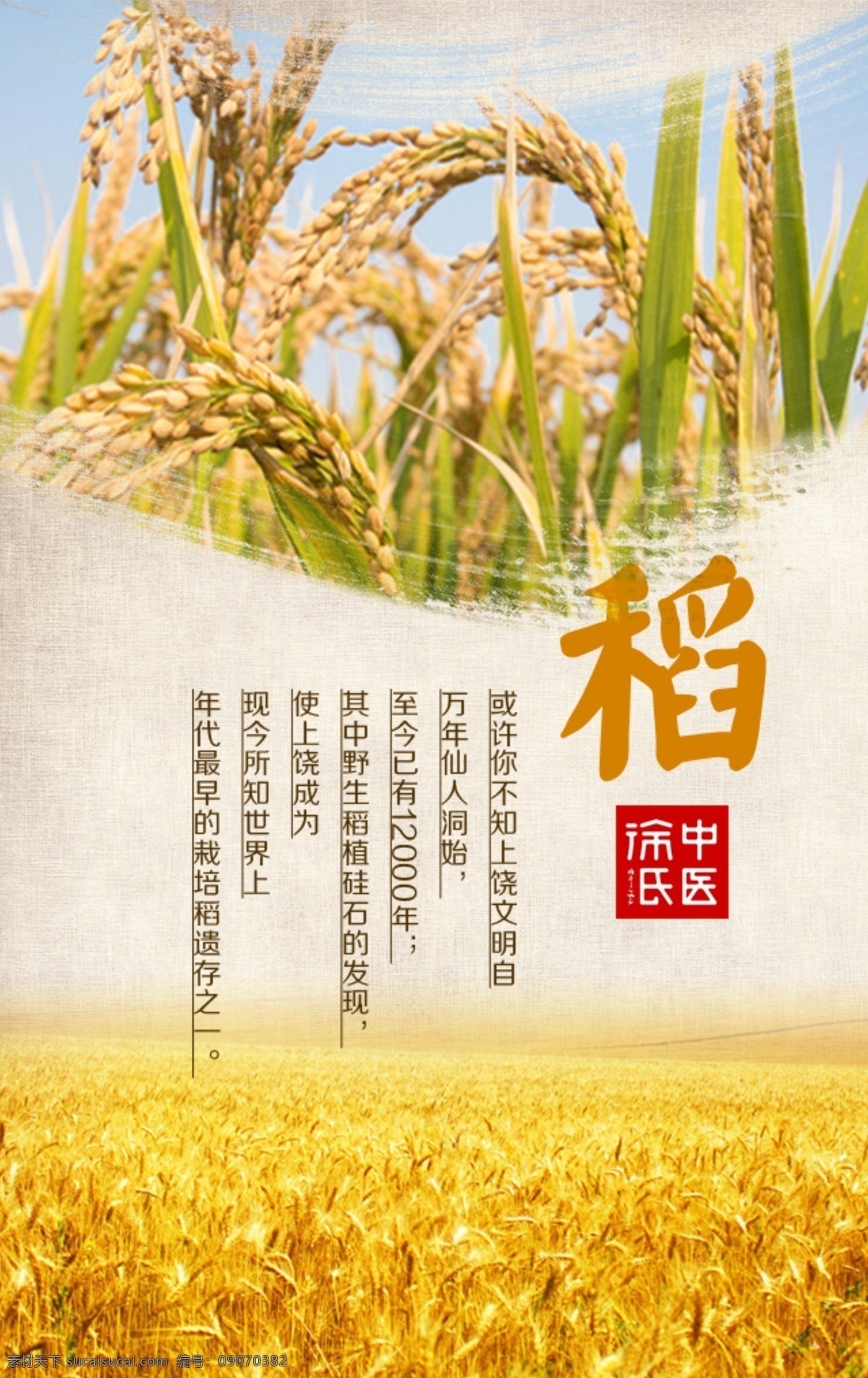 稻米宣传海报 水稻 米 海报 大米 稻谷 宣传