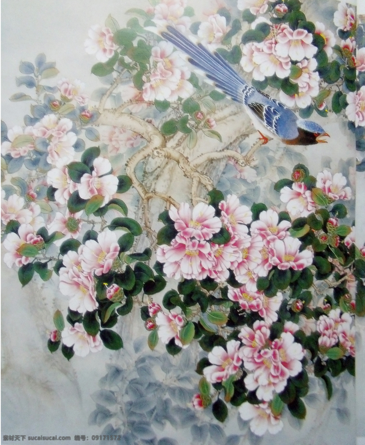 国画 花鸟画 国画花鸟 粉白色花 朵朵绽放 盛开 百花争艳 山石 枝头山雀 嘻嘻 工笔画 美术国画 水墨画 彩墨画 绘画书法 文化艺术 设计素材 中国工笔画
