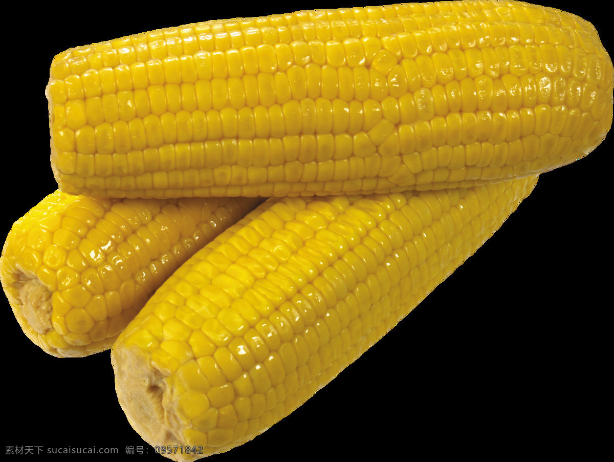 蔬菜 粮食 食材 玉米棒子 食物 生物世界 广告设计素材 生活用品 生活百科