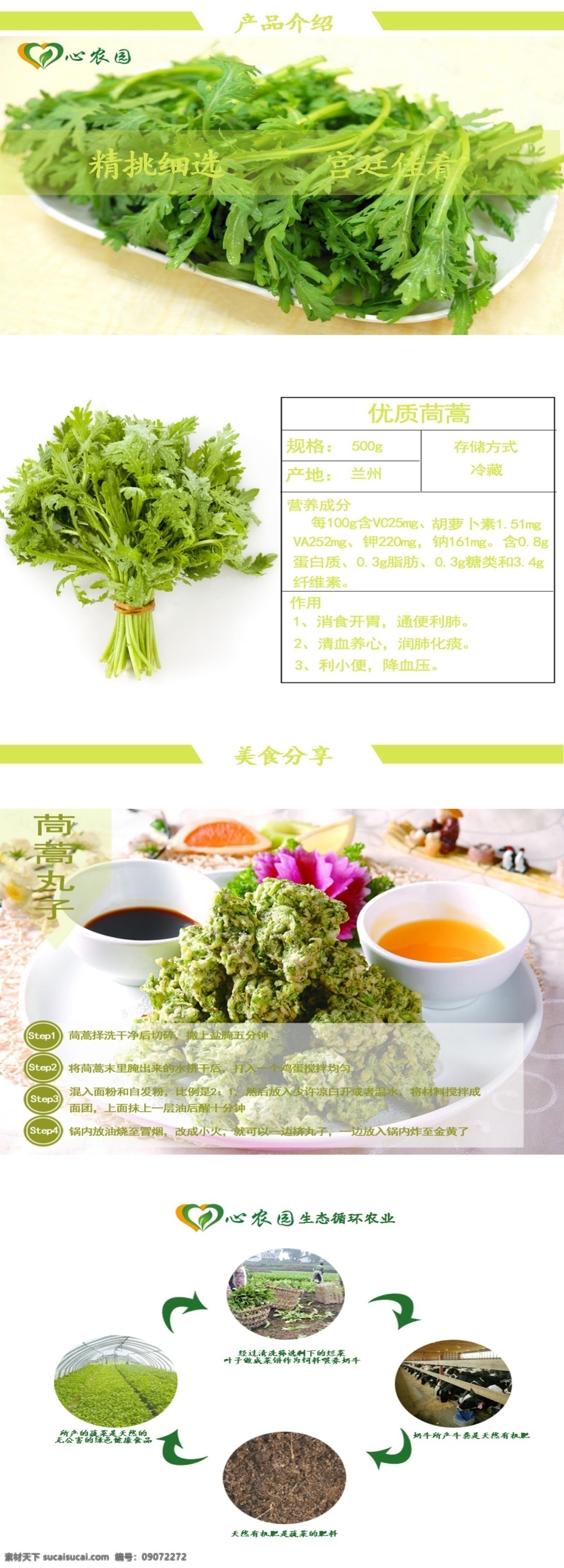 蔬菜 茼蒿 淘宝 网页设计 白色