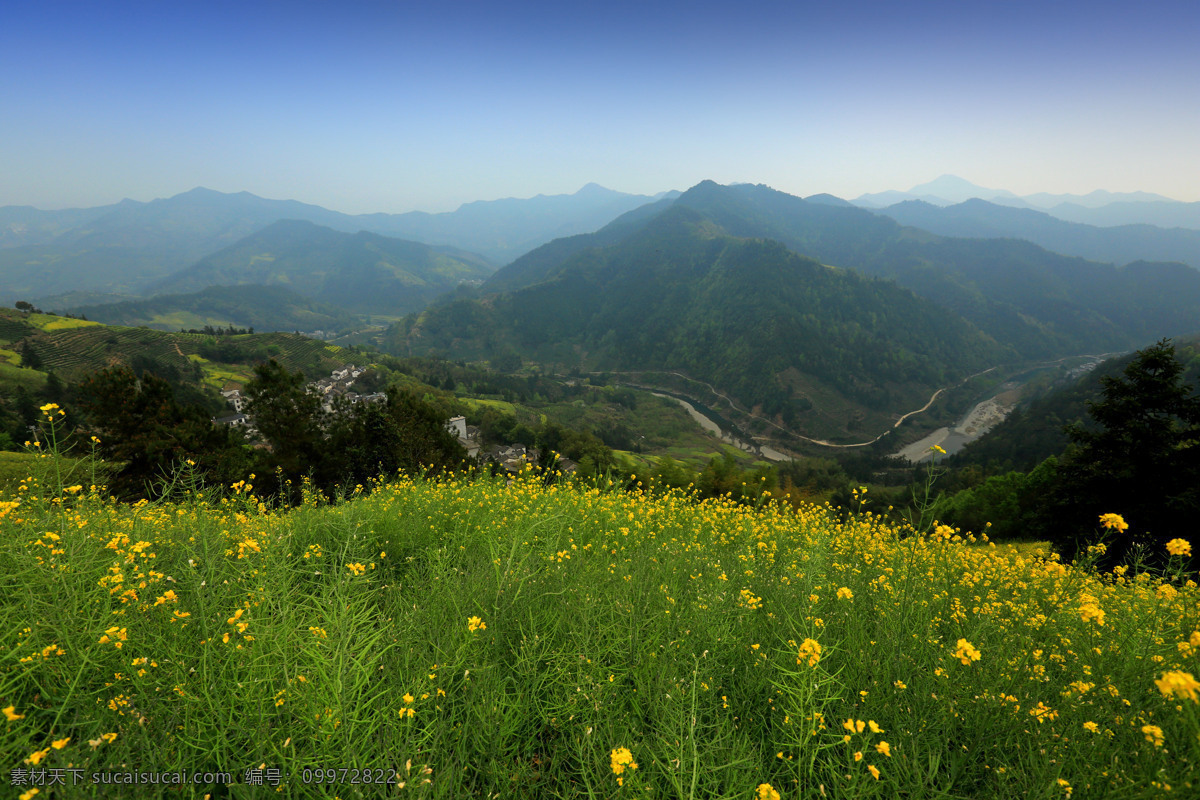 安徽 春天 高山 国内旅游 旅游 旅游摄影 绿树 石潭 村 石潭村 歙县霞坑镇 油菜花 石潭村安徽 psd源文件