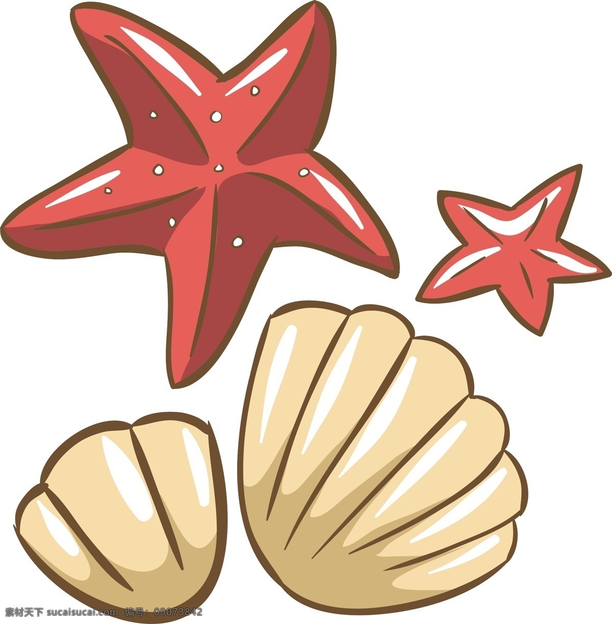 海星贝壳插画 贝壳 海星 海洋生物 生物 夏日元素