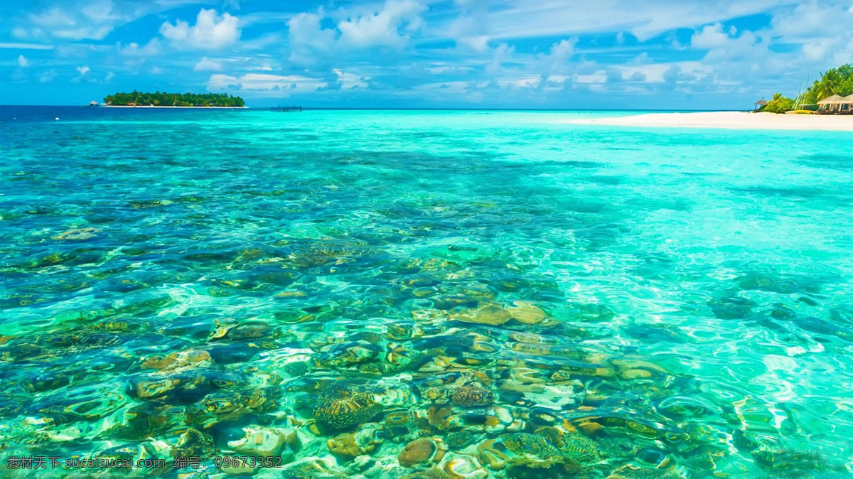 马尔代夫 国外旅游 海边 海滩 海湾 蓝天白云 旅游摄影 椰树 psd源文件