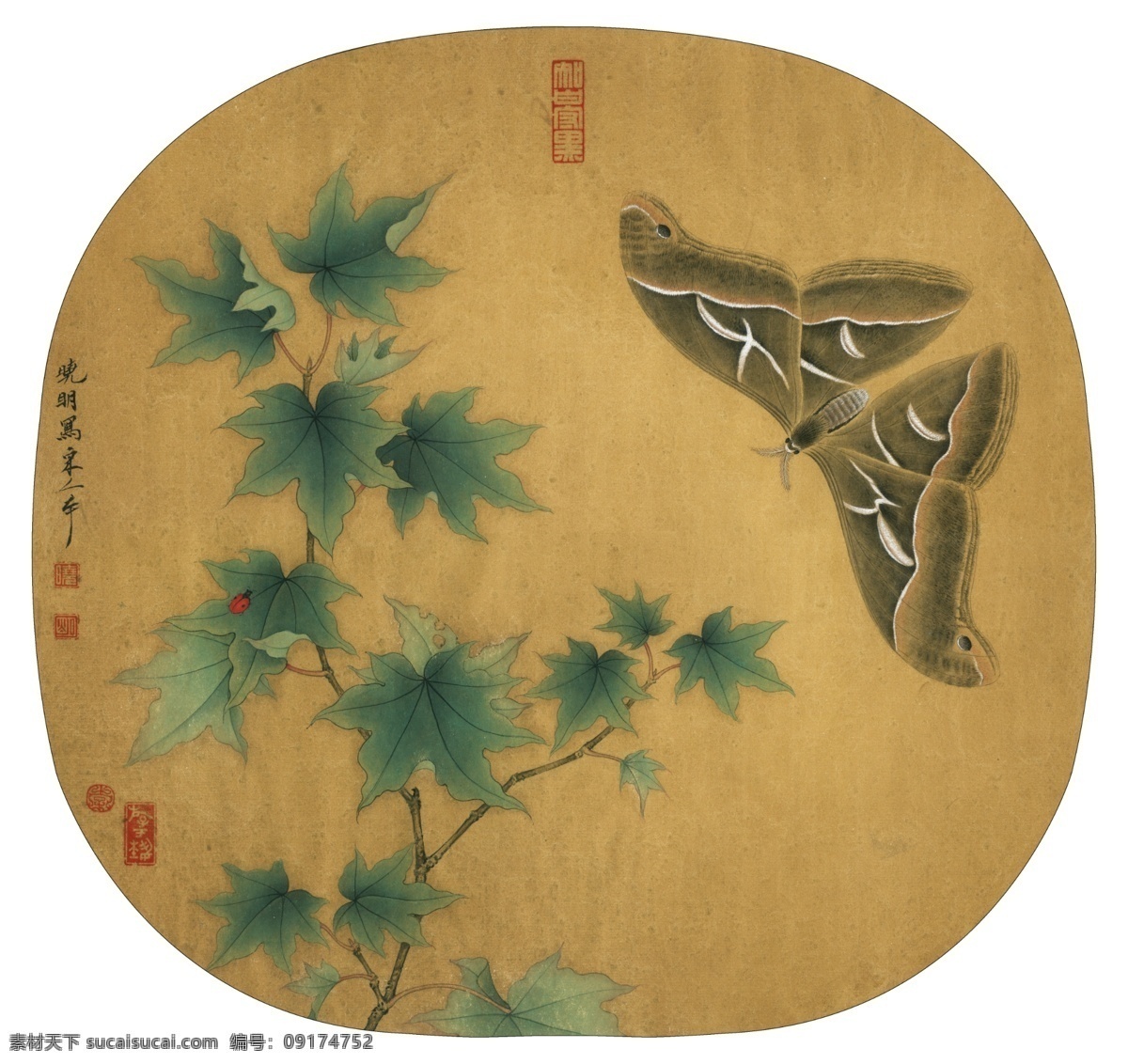 宋 青枫 巨 蝶 图 国画 平面 白色