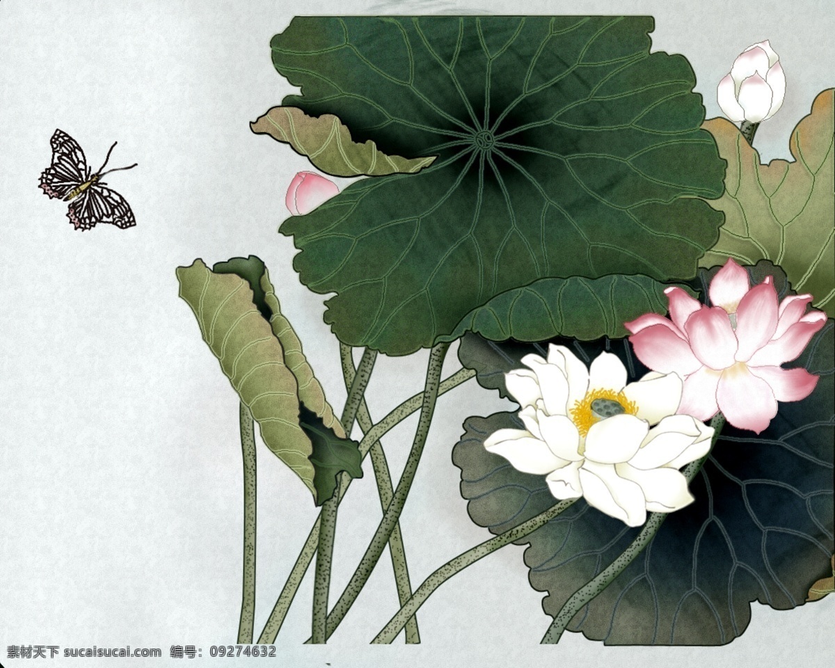 国画 荷花 源文件 白莲 分层素材 风格 工笔 国画源文件 荷叶 蝴蝶 画 国画cg荷花 中国风 水墨 睡莲 莲花 莲蓬 psd源文件