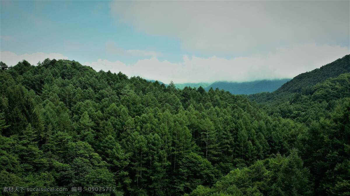 远山森林 山 远山 云彩 天空 白云 蓝天 树林 森林 丛林 树 自然 风景 背景 摄影图 自然景观 自然风景