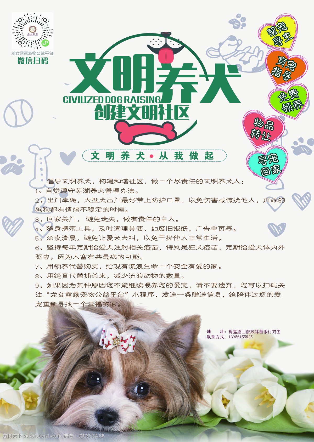 文明养犬 狗狗 宠物 海报 宣传
