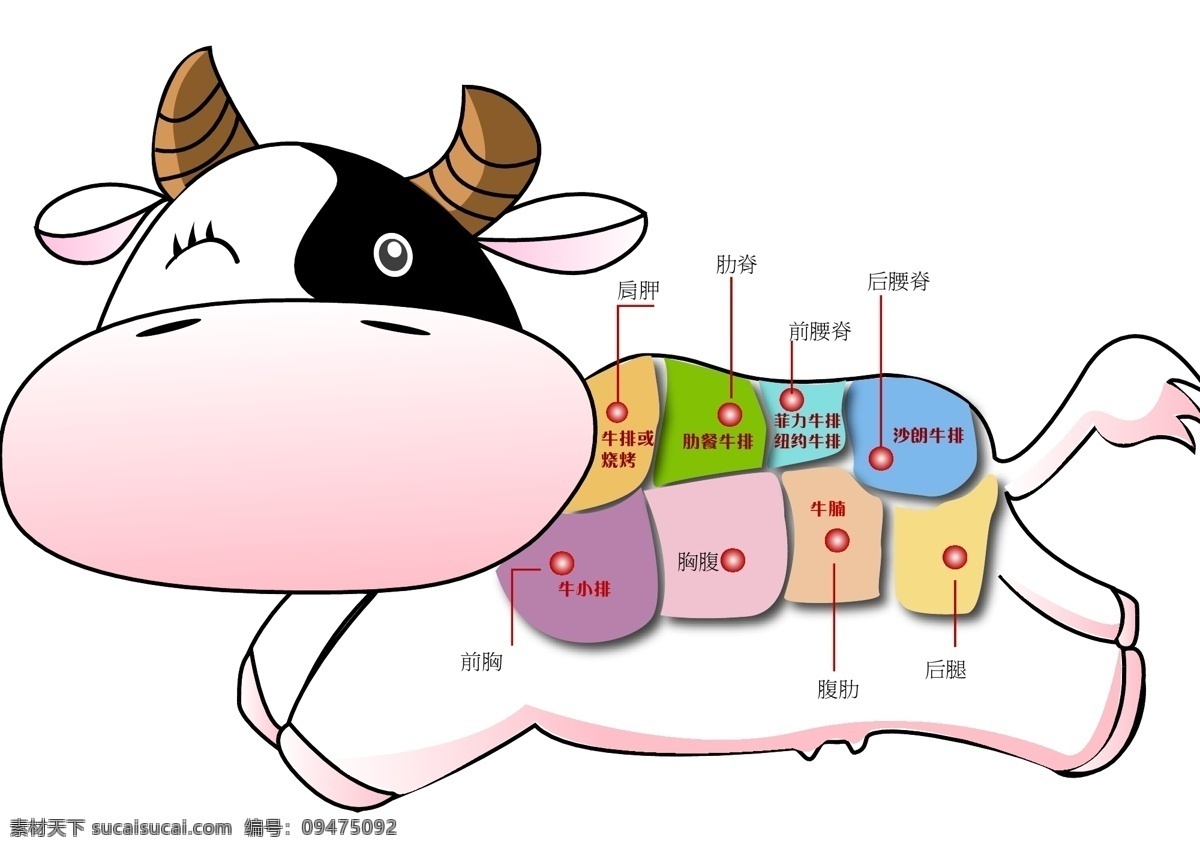 牛肉分布图 牛 矢量 卡通 动物 分布 家禽家畜 生物世界