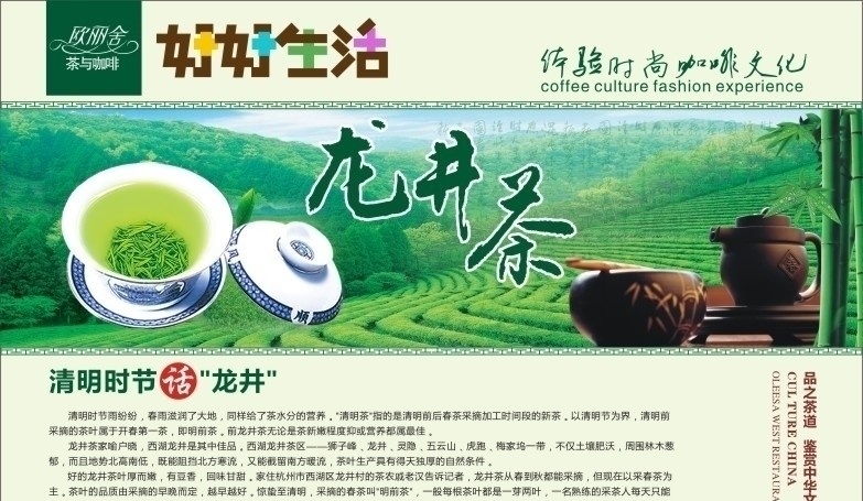 茶 茶文化 欧丽舍 龙井茶 清明 清明茶 绿 茶杯 茶壶 清新 矢量