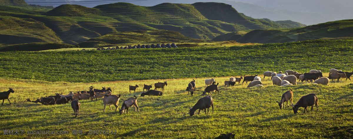 乌蒙大草原 坡上草原 牛棚梁子 大草原 乌蒙 风景 风景图片 牧场 自然景观 田园风光