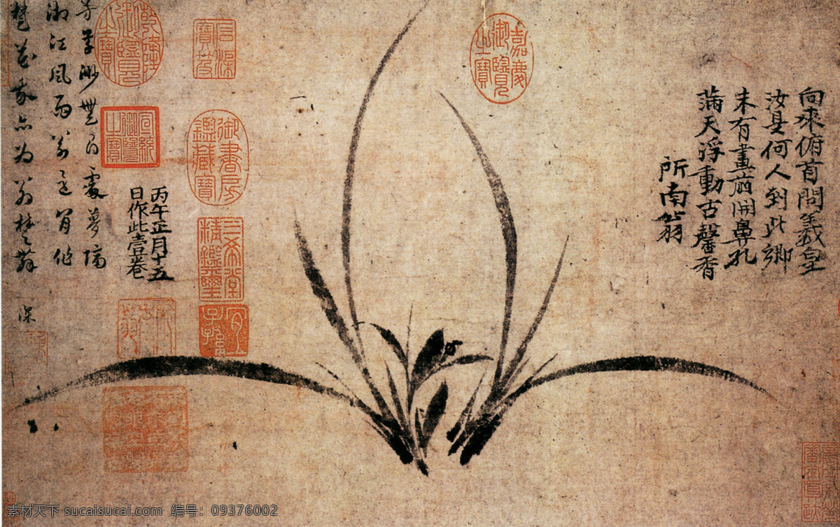 中国 花鸟画 名家 郑 思 肖 书画 真迹 墨兰 图 古画 花鸟 卷 书画真迹 水墨 墨兰图 中国花鸟画 名家郑思肖 纸本 淡 墨 写 幽兰 丛 无水土杂木 画兰根不著土 以寄故国之思 文化艺术